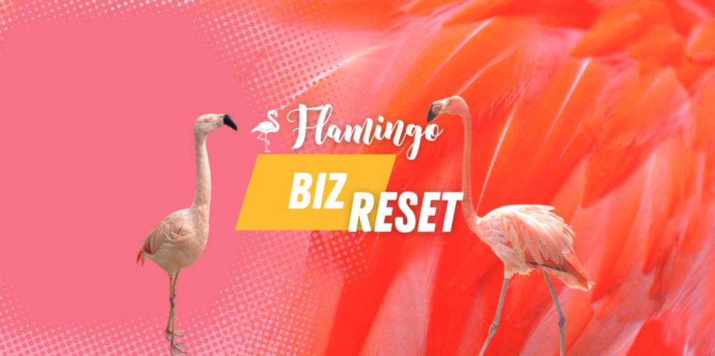 Flamingo Biz Reset Flamingo Advantage free event in January 2023